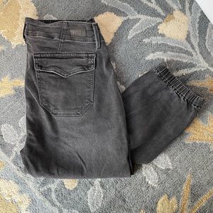 Paige Mayslie Joggers from Anthropologie Size 28